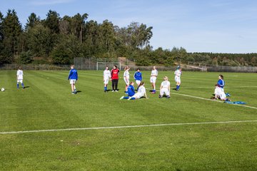 Bild 8 - FSC Kaltenkirchen - SG Schackendorf/MTV SE : Ergebnis: 0:1